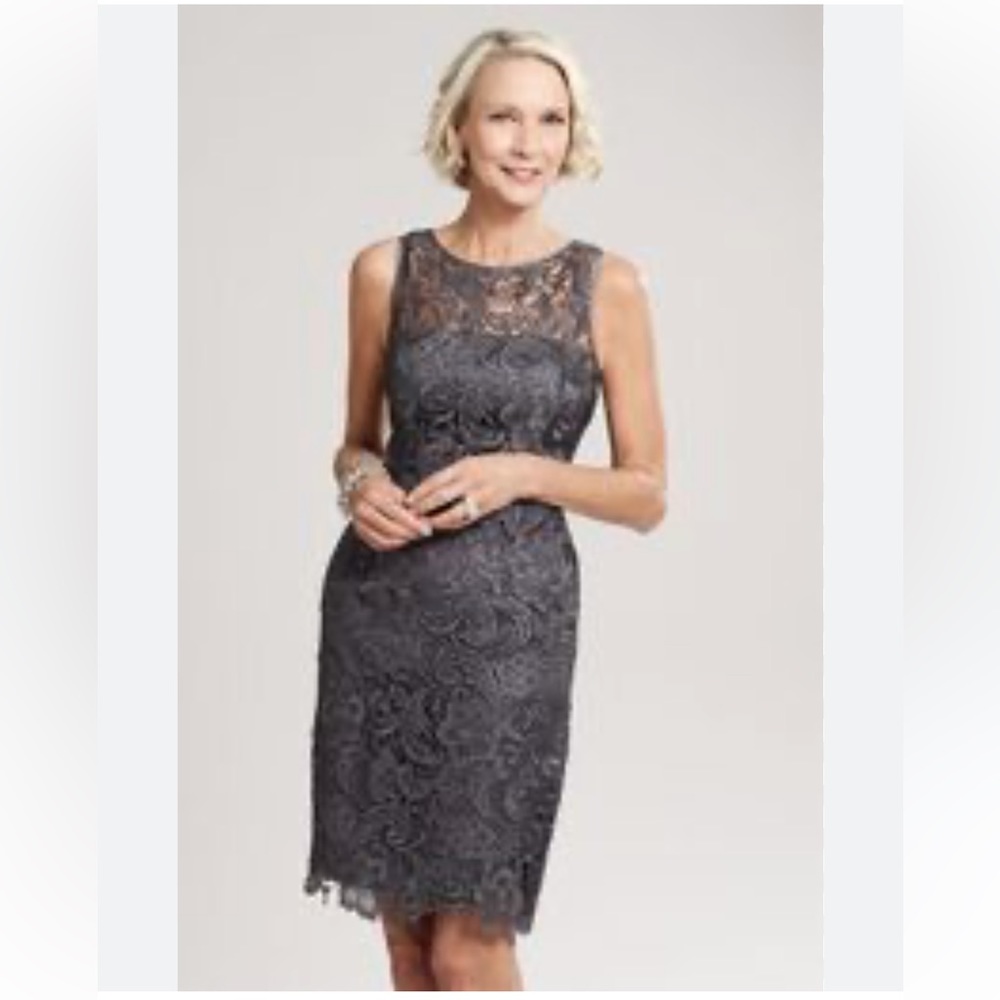 Adrianna Papell Gray Lace Illusion Neckline Dress Sz. 8 NWT
